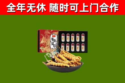 潞城烟酒回收冬虫夏草礼盒.jpg